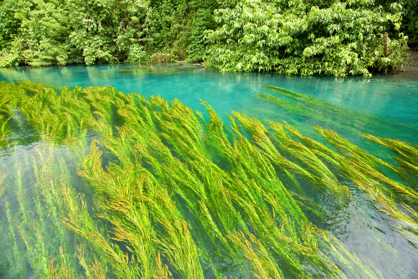 Sông Sivoli, Papua New Guinea.
